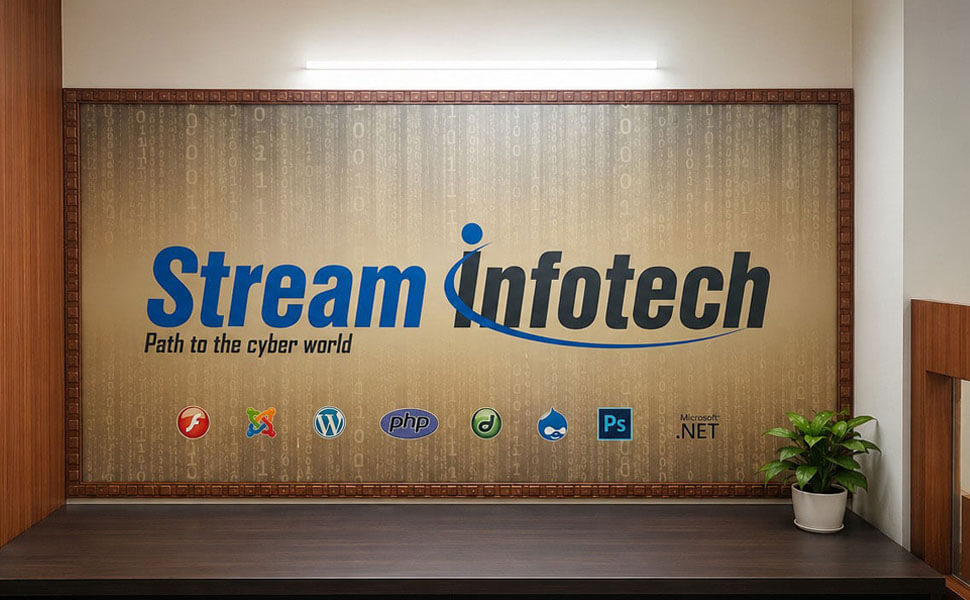 About Stream Infotech providing digital solutions in Patiala for businesses